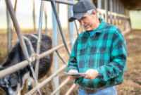 Enhancing Livestock Feed Optimization with BI