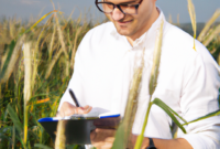 Smart Farming: Business Intelligence Applications in Agriculture