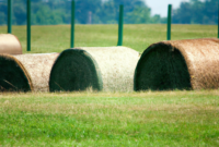 "Streamlining Farm Administration with Business Intelligence"